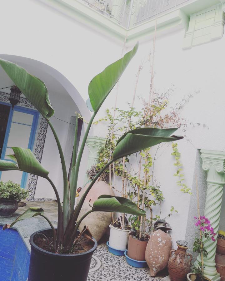 L'Hirondelle De Kelibia : Chez Amou Hotel Екстериор снимка
