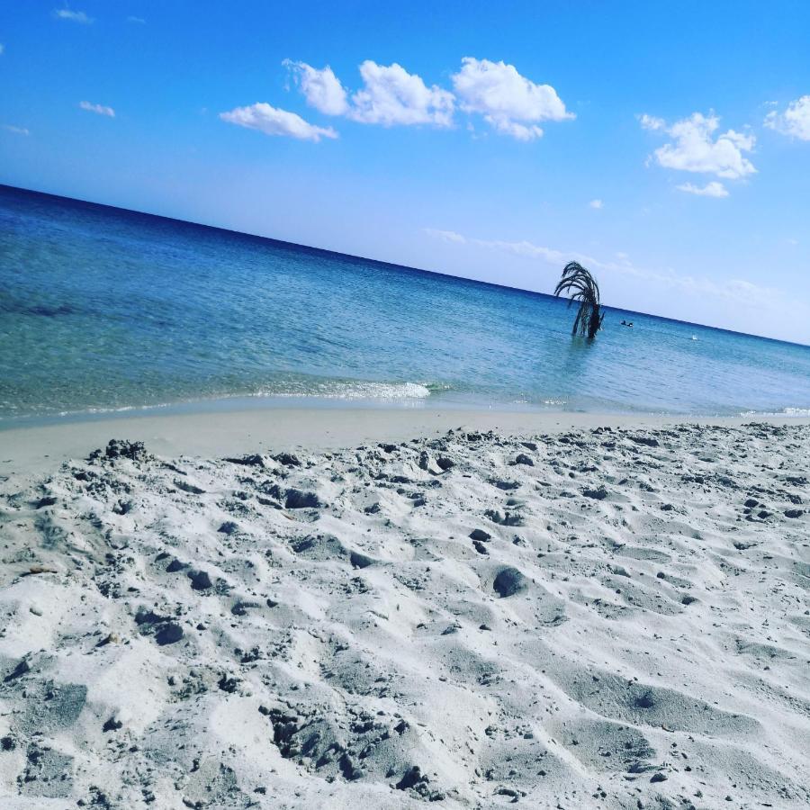 L'Hirondelle De Kelibia : Chez Amou Hotel Екстериор снимка