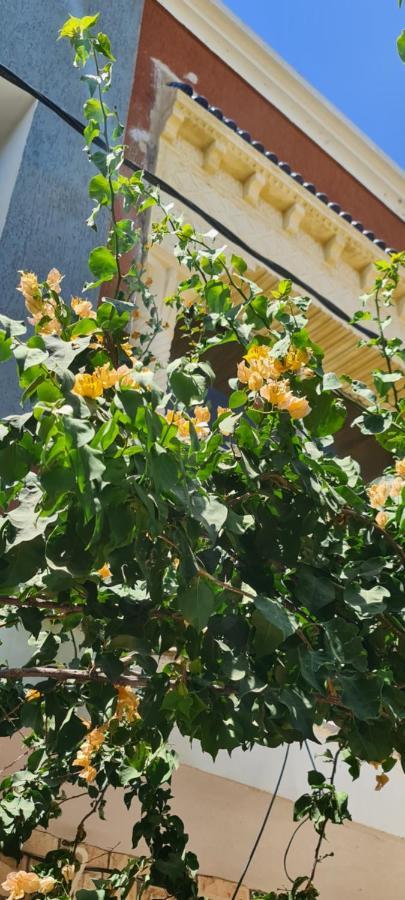 L'Hirondelle De Kelibia : Chez Amou Hotel Екстериор снимка
