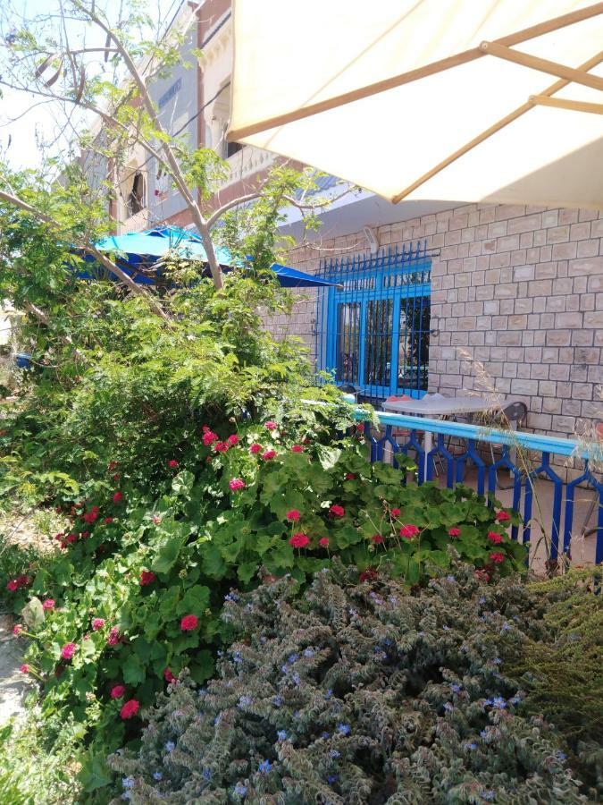L'Hirondelle De Kelibia : Chez Amou Hotel Екстериор снимка