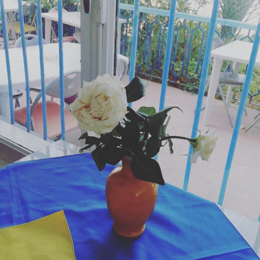 L'Hirondelle De Kelibia : Chez Amou Hotel Екстериор снимка
